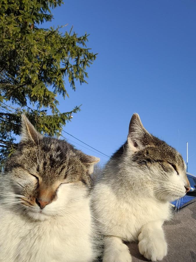 Uroczysko Skomackie Stare Juchy Exterior photo